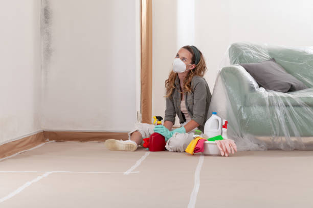 Reliable Mold Remediation contractor in Glenwood, MN by WQB Mold Removal